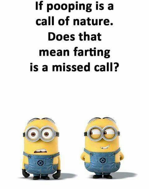 two minion characters with the caption if pooping is a call of nature does that mean faring is a missed call?