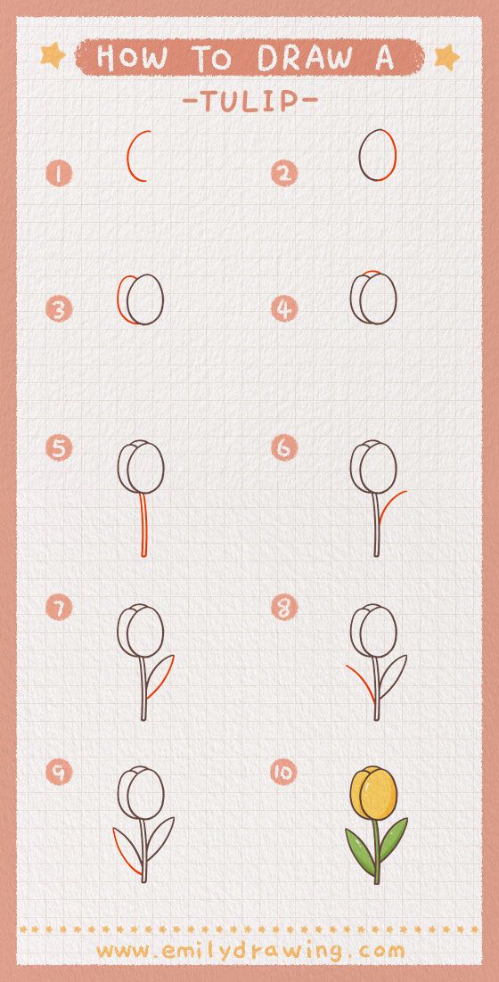 how to draw a tulip step - by - step instructions for kids and beginners