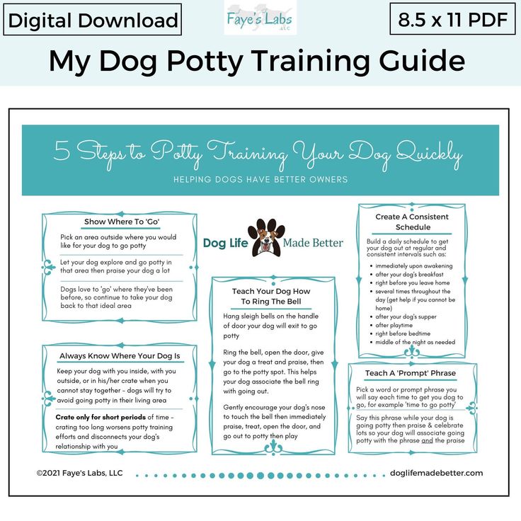 the puppy potty training guide for dogs is shown in blue and white, with an image of a dog's paw on it