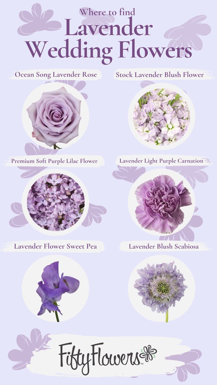 a poster with different types of flowers on it's back side and the words, where to find lavender wedding flowers