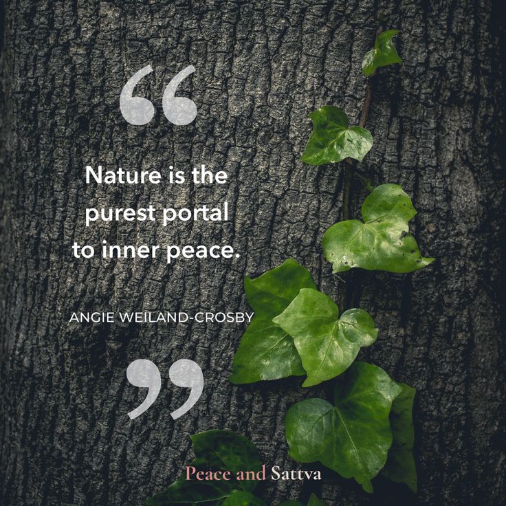 Nature is the purest portal to inner peace. - ANGIE WEILAND -CROSBY Natural Healing Quotes, Nature Lover Quotes, Nature Quotes Beautiful, Silent Quotes, Magic Quotes, Quotes About Love And Relationships, Happiness Quotes, Good Morning Inspirational Quotes, Very Inspirational Quotes