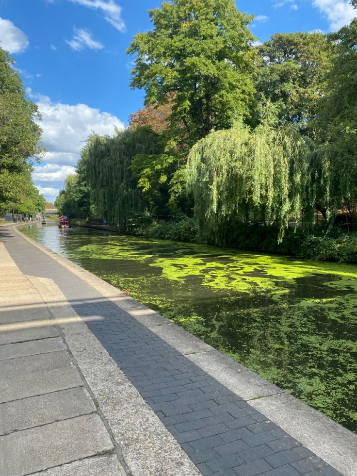 the water is full of green algaes and some people are walking down it in the distance