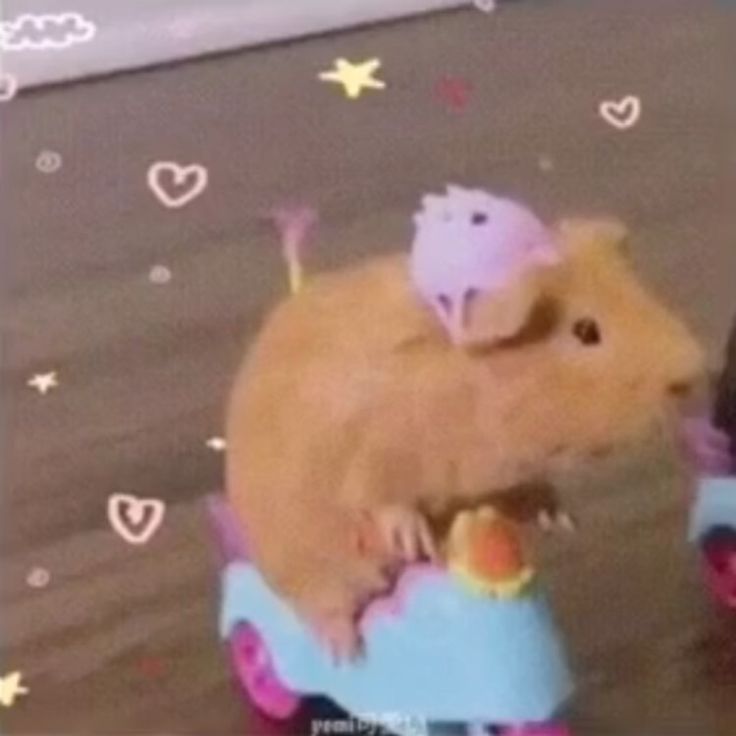 a hamster riding on top of a toy car with a mouse on it's back