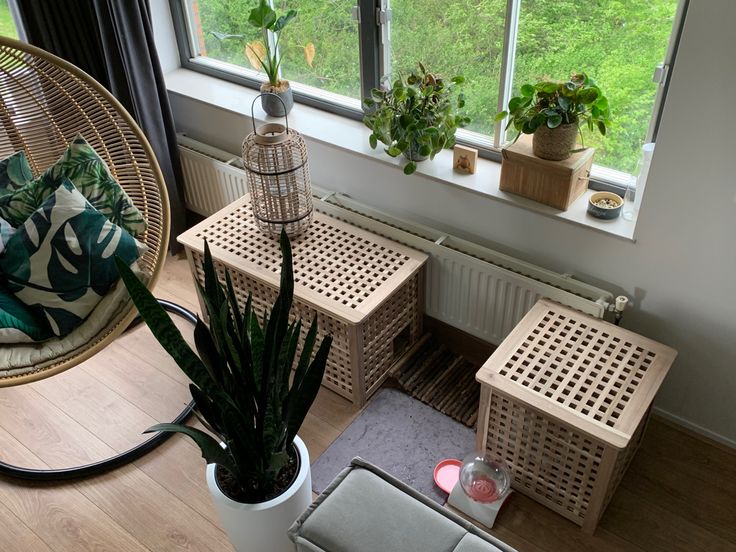 a living room filled with lots of plants next to a window sill and wooden flooring