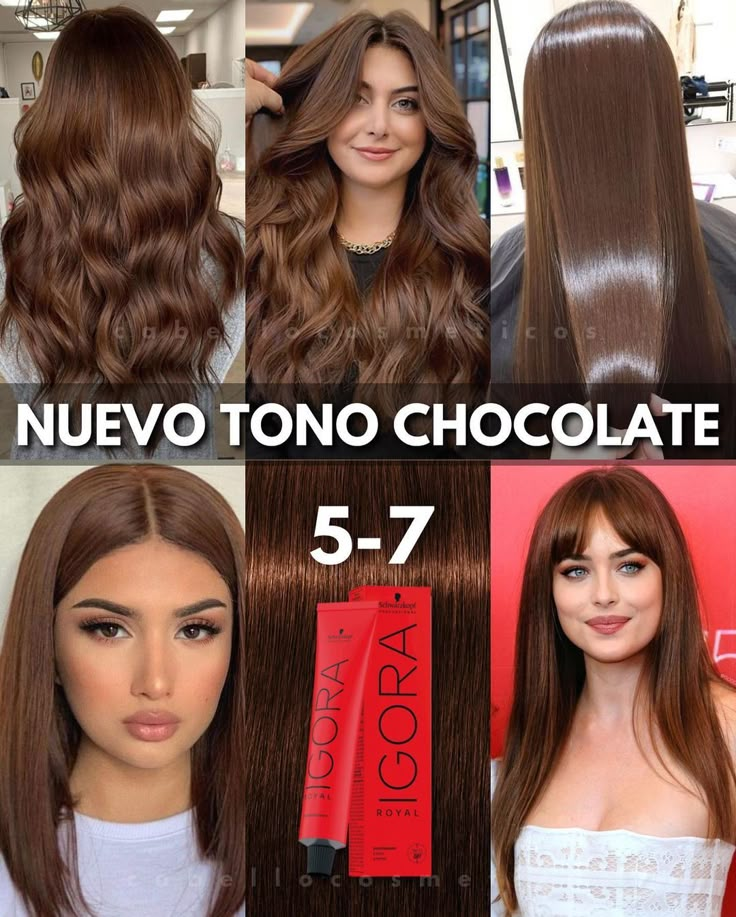 Chocolate Brown Hair Color Ideas, Rambut Brunette, Brown Hair Color Ideas, Chocolate Brown Hair Color, Brown Hair Looks, Brown Hair Inspo, Hair Color Formulas, Brown Hair Color, Ginger Hair Color