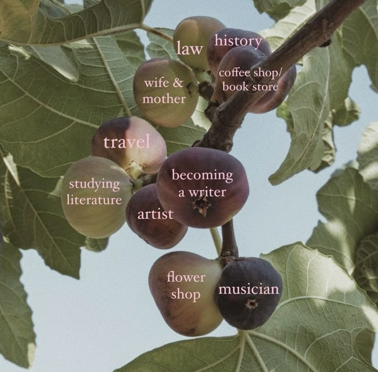 an image of plums growing on the tree with words describing their names in english