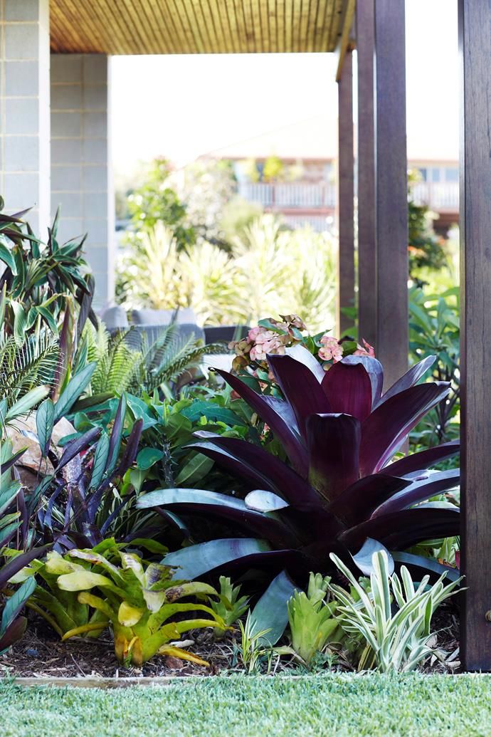 an outdoor area with various plants and flowers