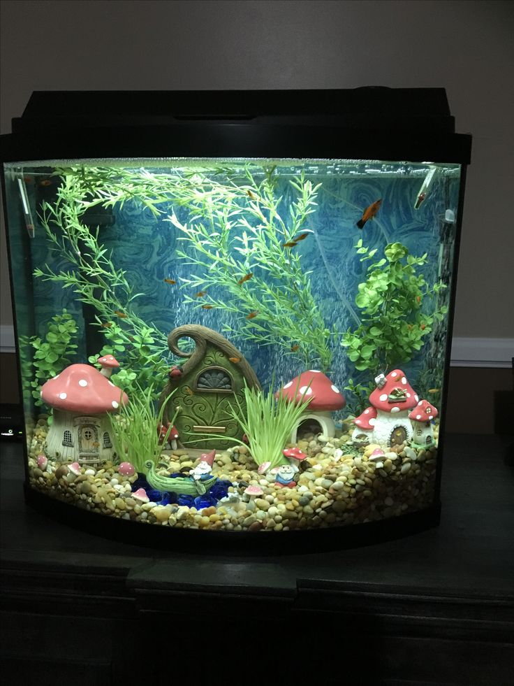 an aquarium filled with lots of different types of plants and animals on top of it