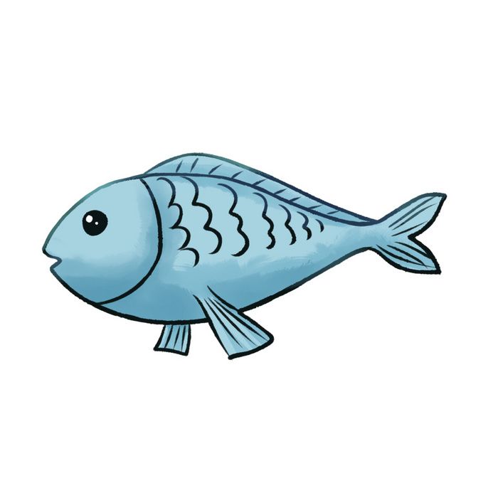 a blue fish on a white background