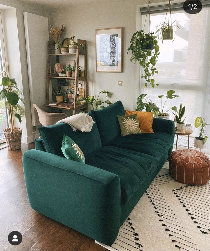 a living room with green couches and potted plants on the windows sill