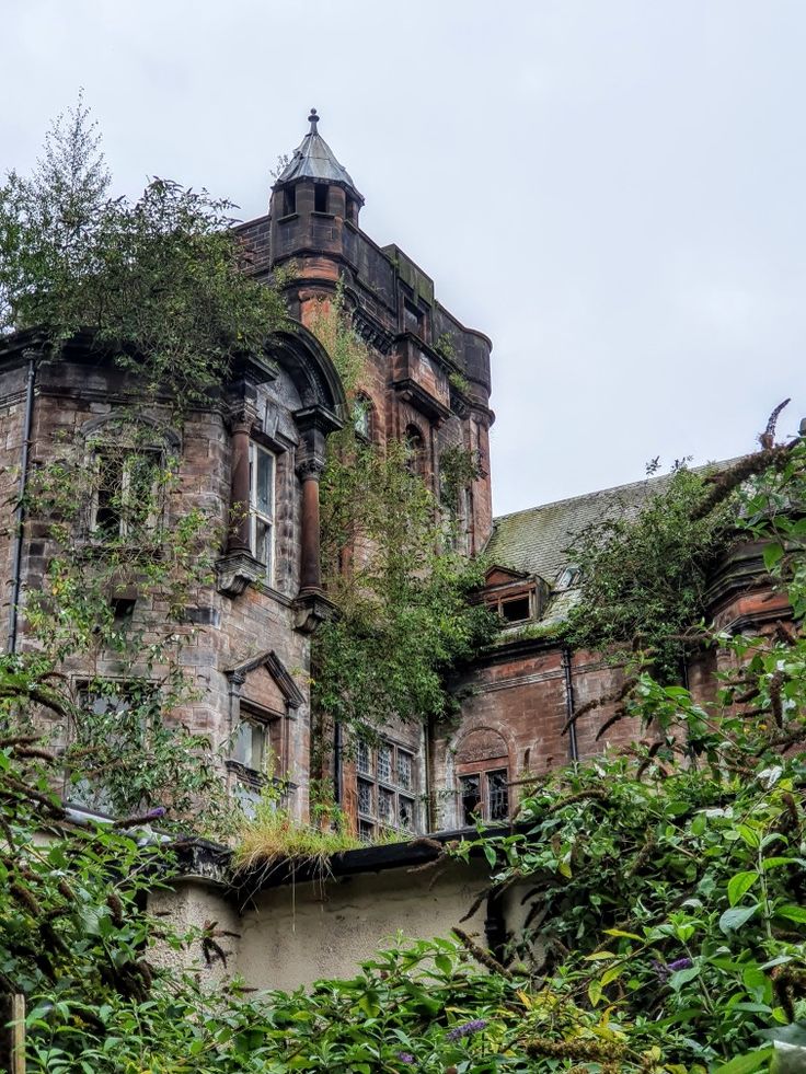 an old building with ivy growing on it's walls and windows, surrounded by greenery