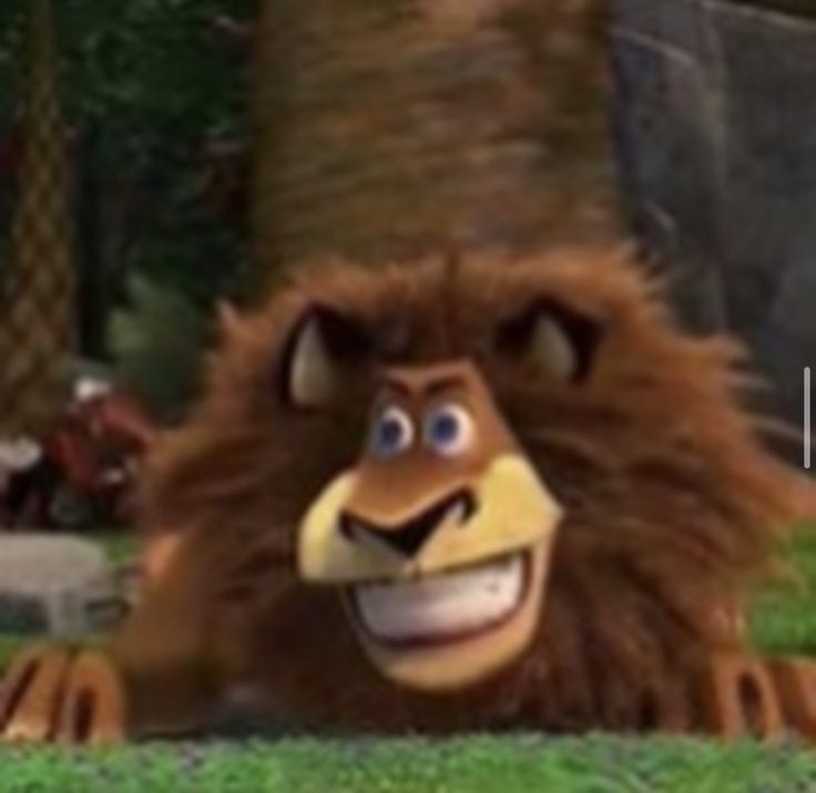 the lion from madagascar is smiling and looking at the camera