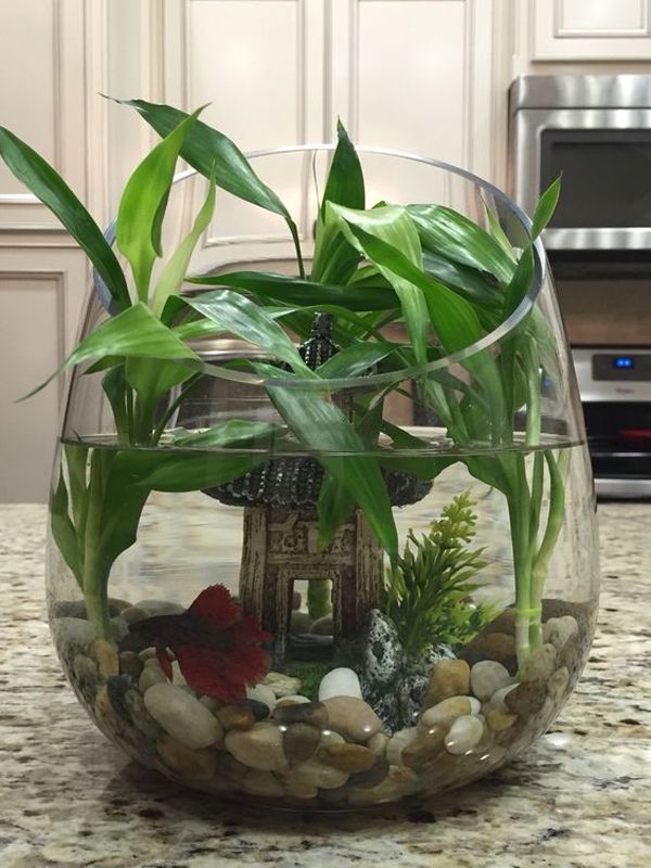 a fish bowl filled with plants and rocks on top of a kitchen counter next to a microwave