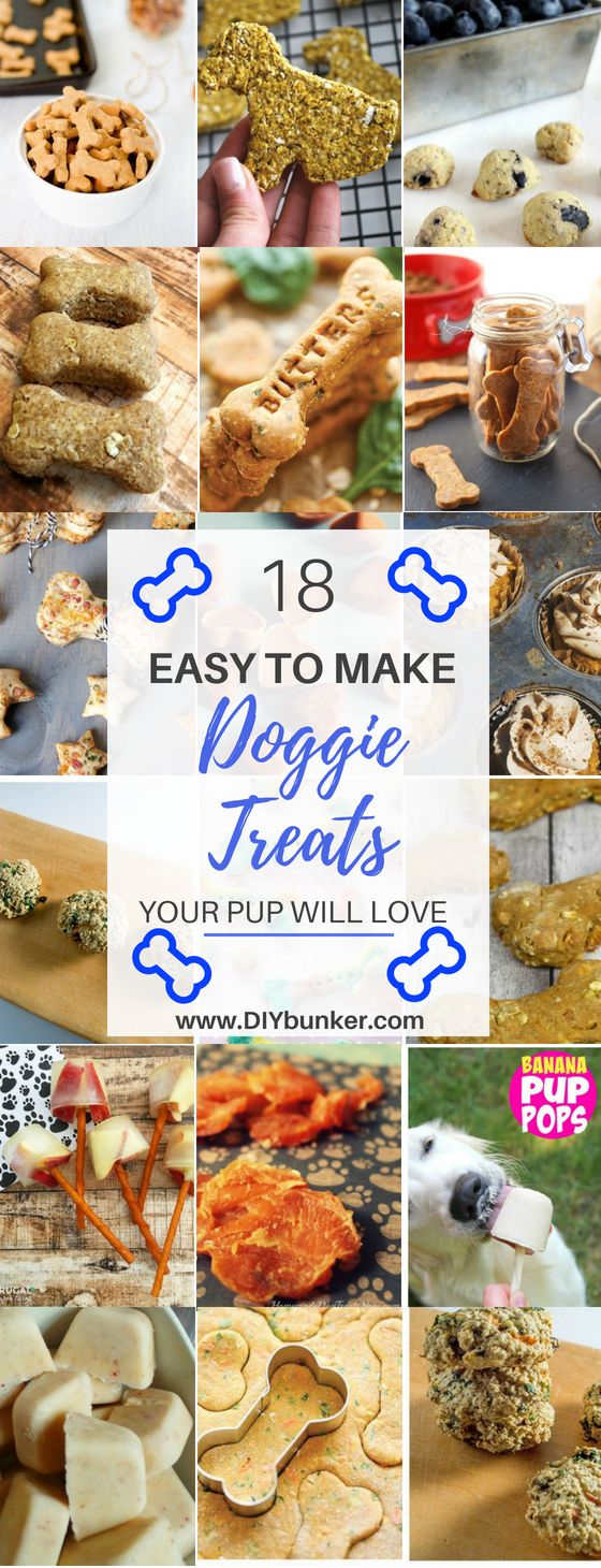 These 18 DIY Dog Treat Recipes Are So Easy To Make And Your Fur Baby Will Be Drooling! #pets #dogs #petfood #dogtreats #dogtreatrecipes #diy #lovemydog Homemade Dog Cookies, Pet Treats Recipes, Dog Biscuit Recipes, Easy Dog Treats, Healthy Dog Treats Homemade, Doggie Treats, Dog Treats Homemade Recipes, Diy Dog Treats, Treat Recipes