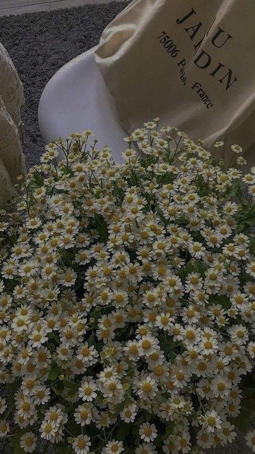 white daisies are in the center of a flower pot and next to a chair