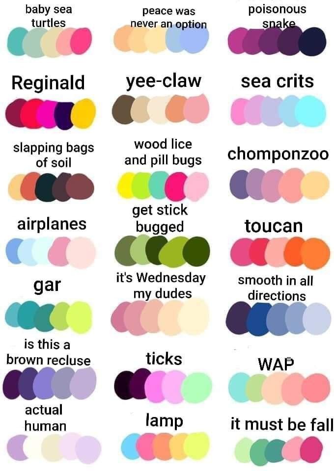 an image of different types of colors in the same color scheme for each type of item