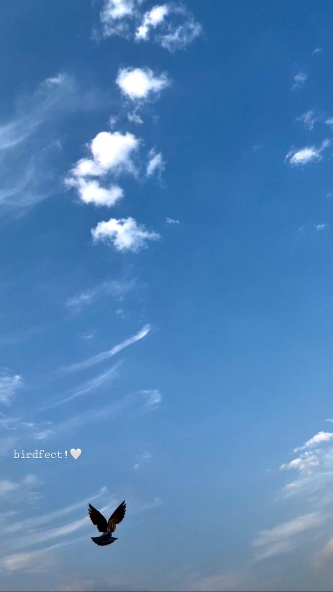 a bird flying high in the sky with clouds above it and a heart shaped cloud