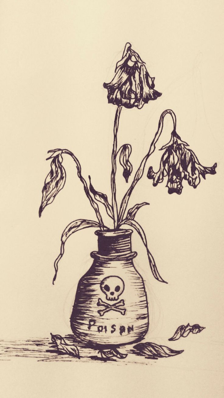 a drawing of a skull and crossbones in a vase with flowers inside it