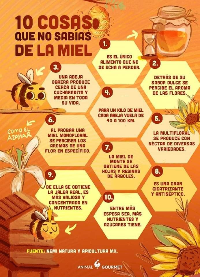 a beehive with honey in it and instructions on how to use the beeswap