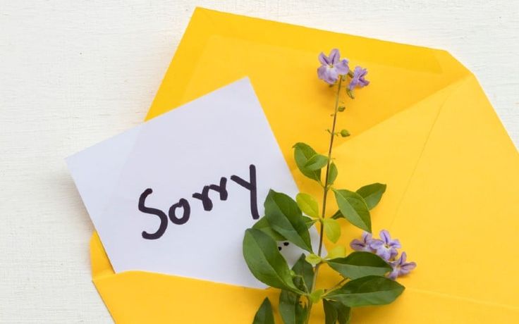 a yellow envelope with a note that says sorry on it next to some purple flowers