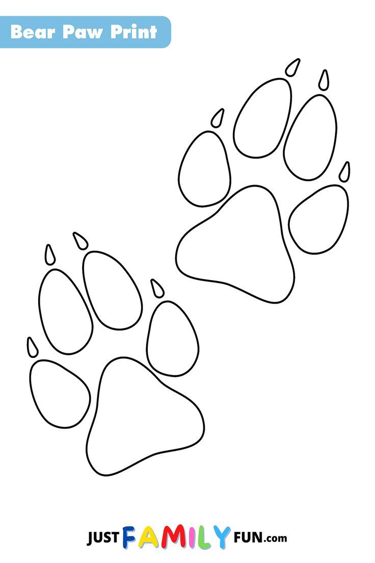 a bear paw printable for kids to color and learn how to draw the animal's footprints