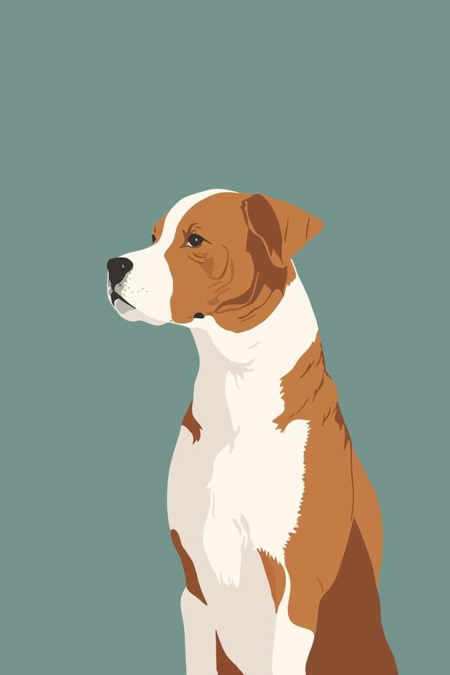 American Staffordshire Terrier. Vector illustration in a flat style. American Staffordshire Terrier, American Staffordshire, Staffordshire Terrier, Dog Illustration, Flat Vector, Flat Style, Flat Illustration, Illustration Vector, Vector Background