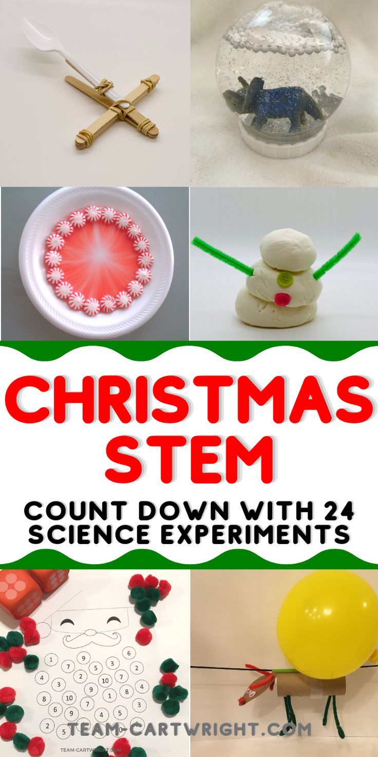 Text: Christmas STEM Count Down with 24 Science Experiments
6 Pictures Clockwise from Top Left: snowball launcher STEM challenge, DIY dinosaur snowball STEAM craft, snowman made from edible marshmallow playdough, flying reindeer experiment, Santa Math Craft Game, melting mints candy cane science experiment; all pictures examples of the science experiments and activities found in the post. Reindeer Science, Easy Steam Activities, Steam Crafts, Winter Stem Activities For Kids, Fun And Easy Science Experiments, December Preschool Themes, Santa Math, Activities For Kids Christmas, Holiday Stem Activities