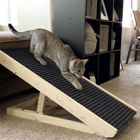 a cat walking on top of a ramp in a living room next to a book shelf