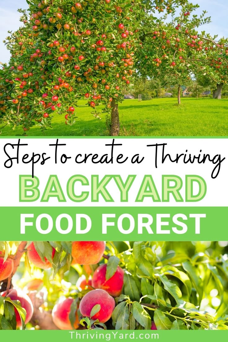 an apple tree with the words, tips to create thriving backyard food forest