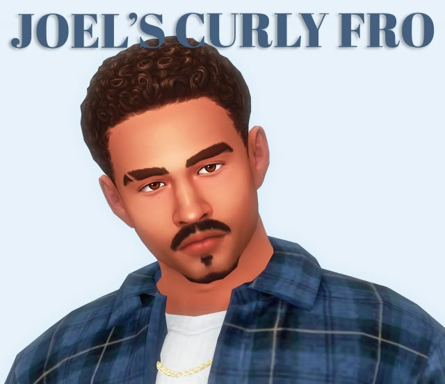 an image of a man with a fake mustache and beard wearing a blue plaid shirt that says joe's curly fro