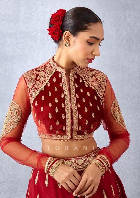 Velvet Blouse Designs Latest, Velvet Choli, Hand Embroidered Blouse, Arabian Dress, Butterfly Net, Silk Velvet Fabric, Indian Bridal Lehenga, Velvet Blouses, Blouse Designs Latest