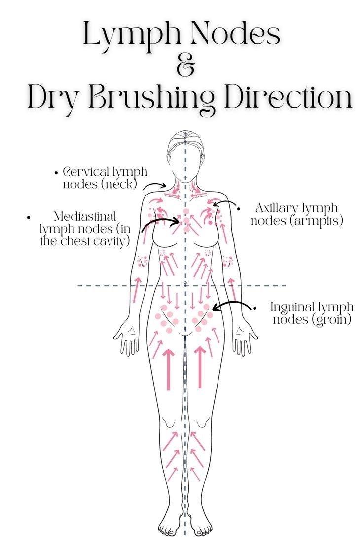 How To Dry Brush, Lymph Drainage Massage, دورة شهرية, Lymph Massage, Lymph Drainage, Feminine Health, Lymph Nodes, Dry Brush, روتين العناية بالبشرة