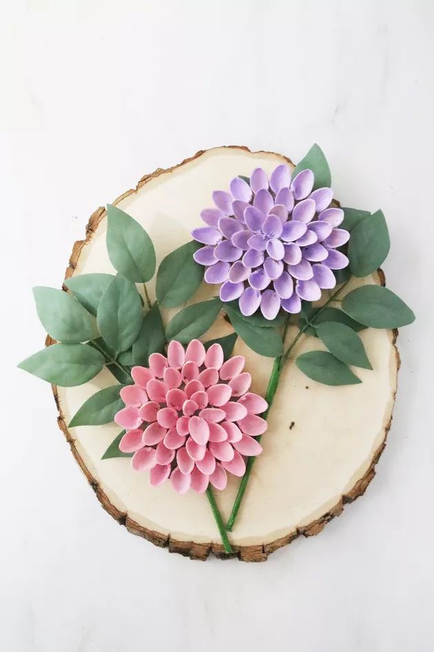 two pink and purple flowers sitting on top of a piece of wood next to green leaves