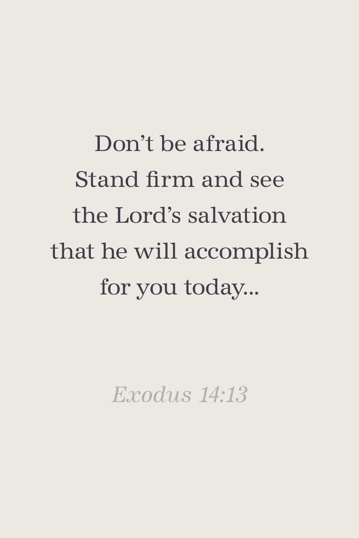 "Don’t be afraid. Stand firm and see the Lord’s salvation that he will accomplish for you today..." Exodus 14:13 Bible Verse About Salvation, Exodus Bible Verses, Exodus Verses, Exodus Quotes, Bible Verse Exodus, Torah Quotes, Exodus Bible, Aesthetic Bible, Motivational Bible Verses