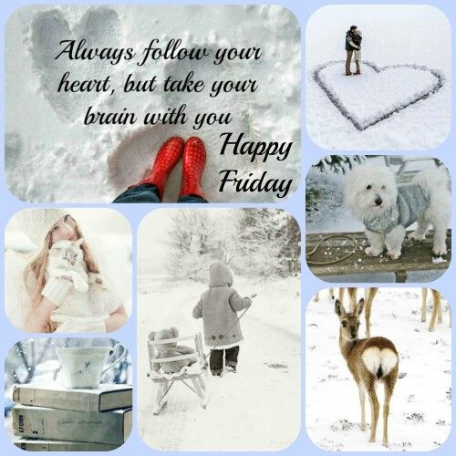 a collage of pictures with people and animals in the snow, including a heart