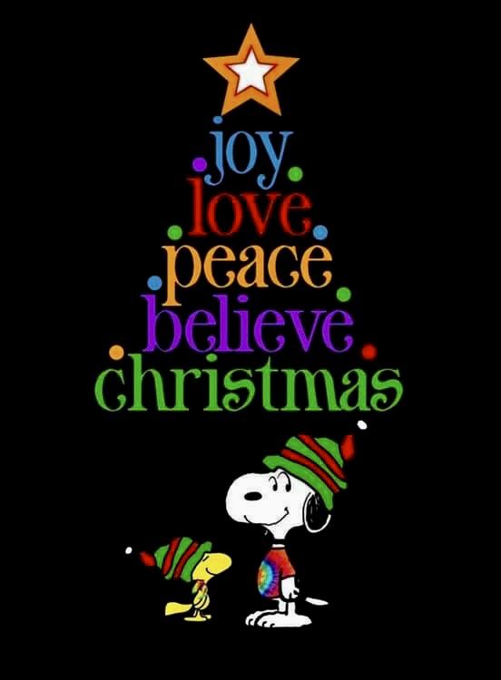 a charlie brown christmas tree with the words joy love peace believe christmas