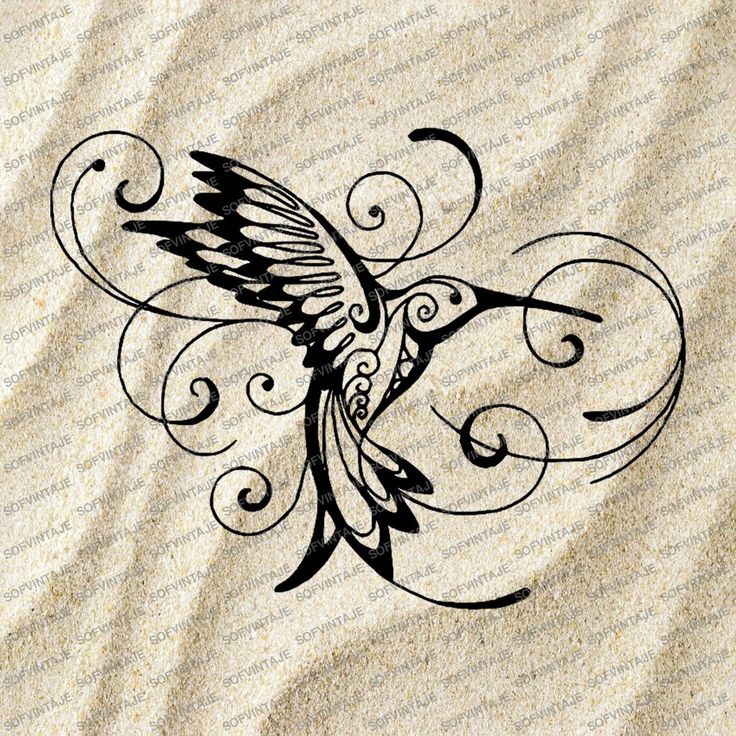 a bird with swirls on it's wings flying in the air over sand