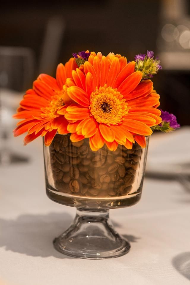 an orange flower in a glass vase on a table