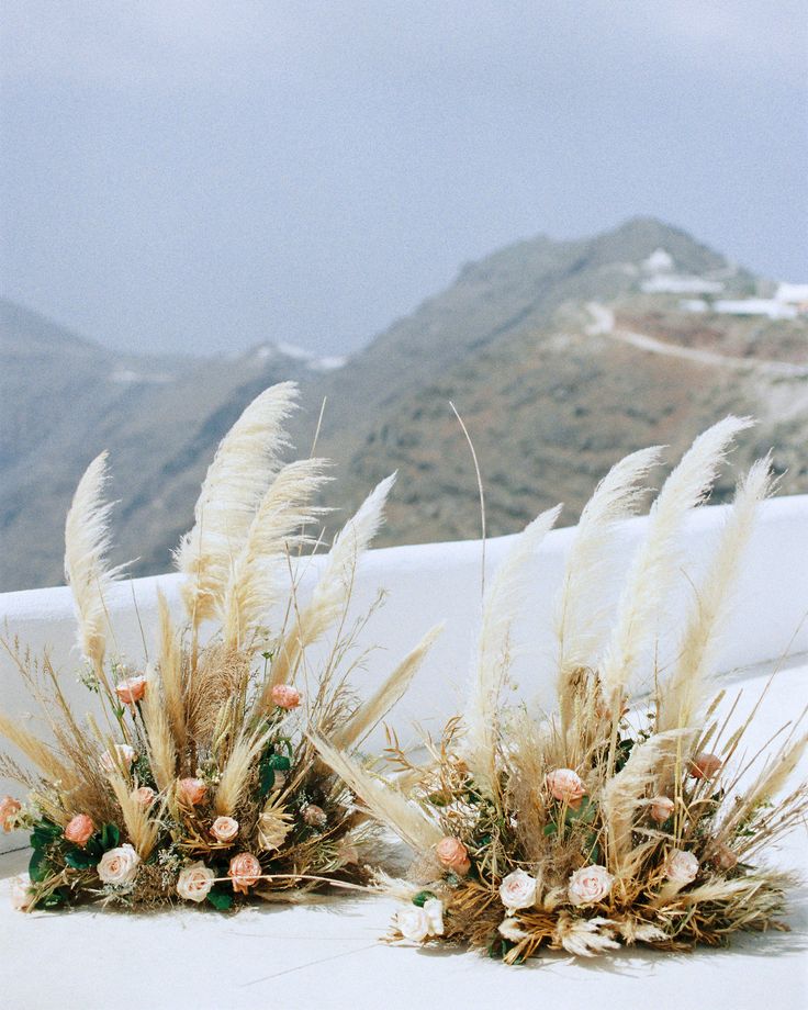 three white flowers and some grass on top of a roof with mountains in the background