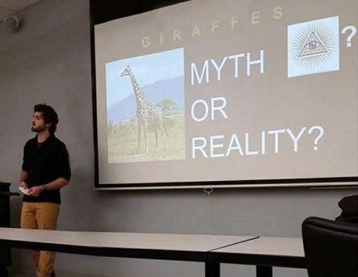 a man standing in front of a projector screen giving a presentation on giraffes