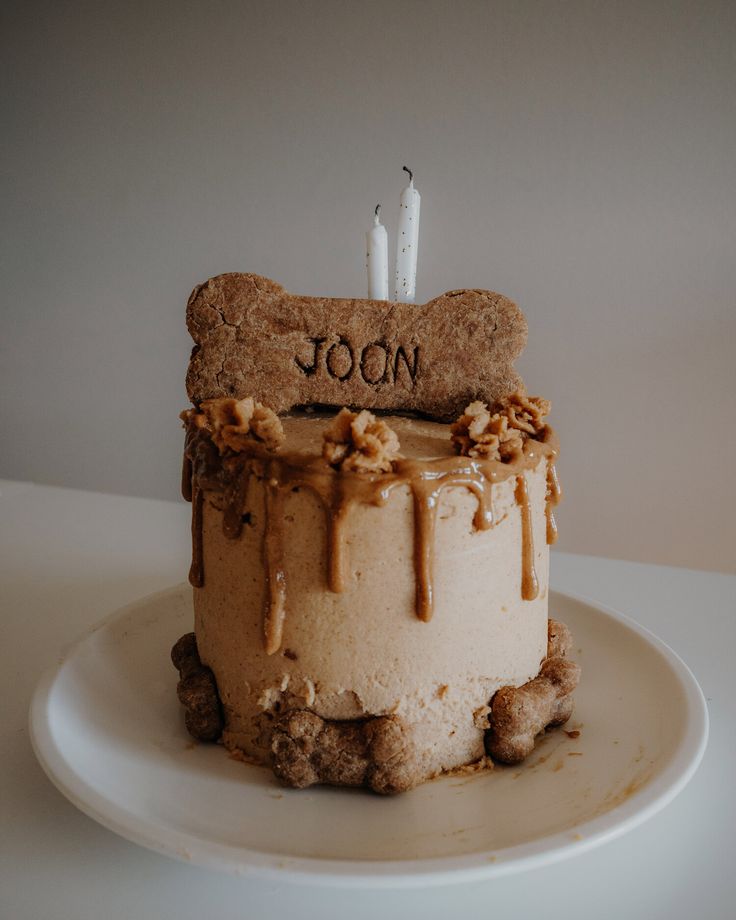 a dog bone shaped cake with two candles on top