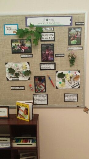 a bulletin board with pictures on it in an office space next to a bookcase