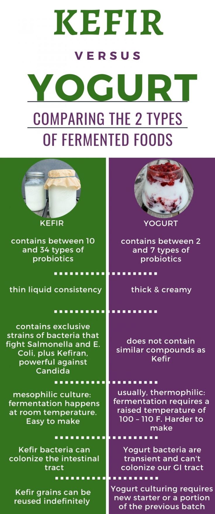 two different types of yogurt are shown in this brochure, with the text