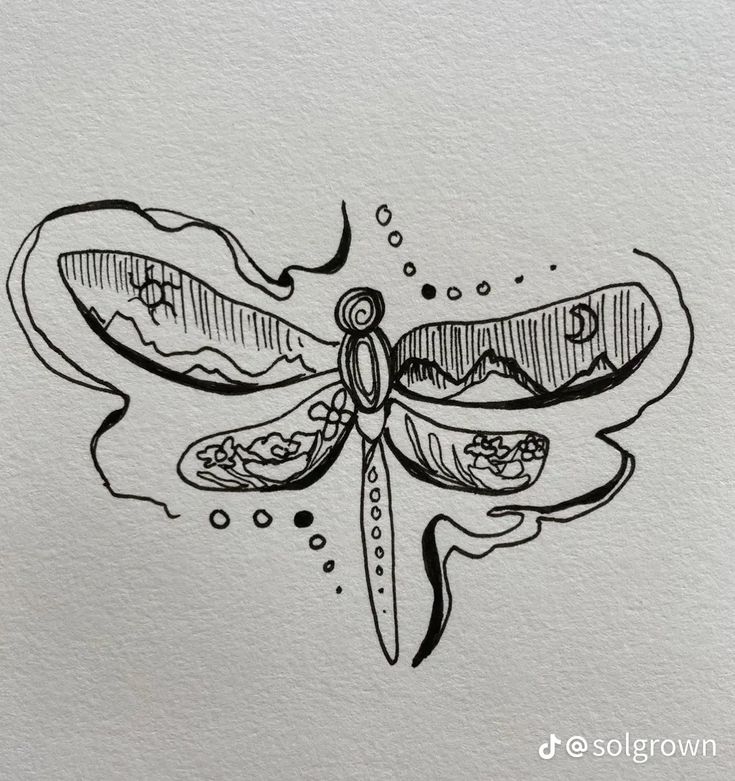 a drawing of a dragonfly on paper