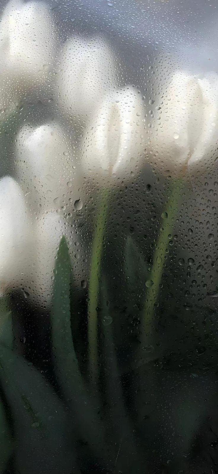 some white flowers are sitting outside in the rain on a window sill with drops of water