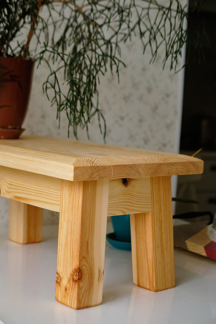 a wooden bench next to a potted plant on top of a white countertop