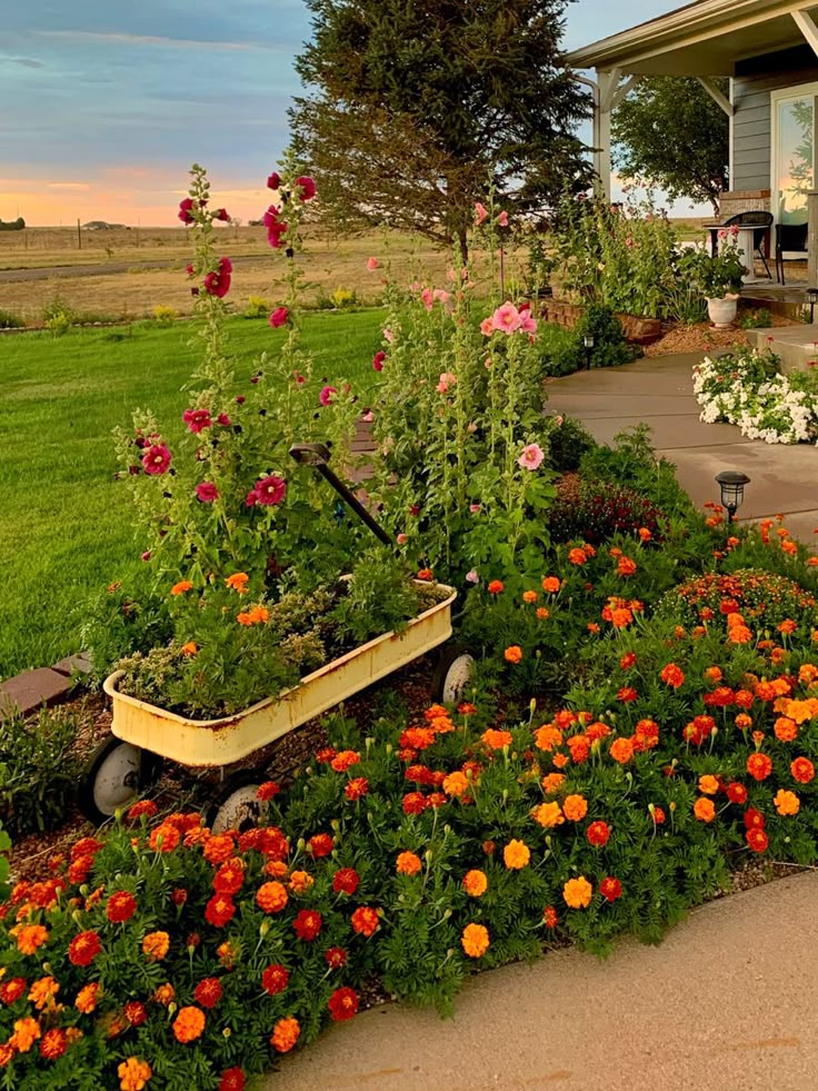 a wheelbarrow full of flowers in front of a house with the sun setting