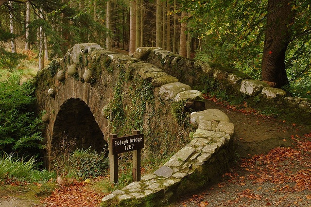 a stone bridge in the middle of a forest