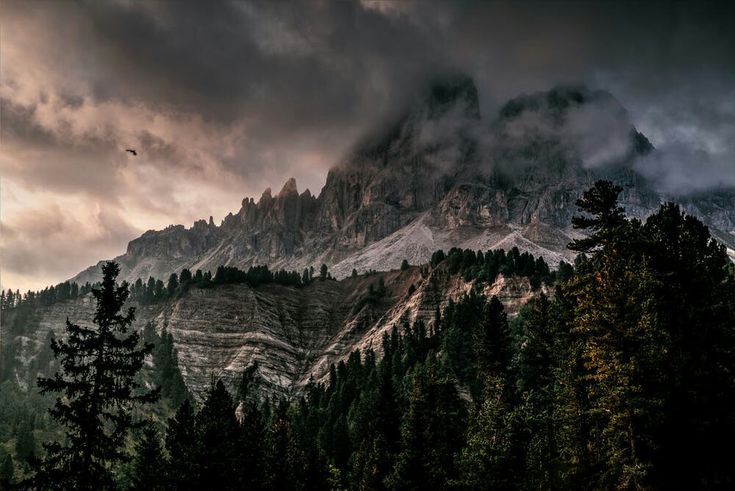 the mountains are covered in clouds and trees