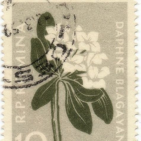 a postage stamp with a flower on it